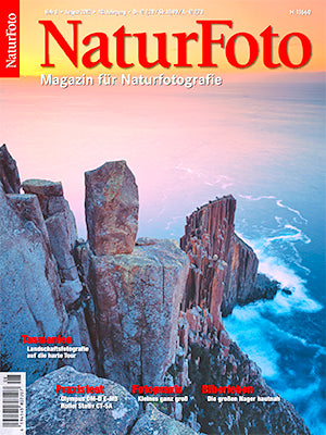 NaturFoto 8/2012